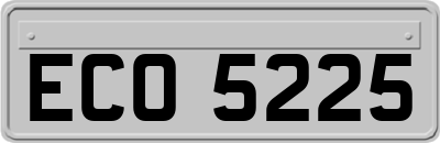ECO5225