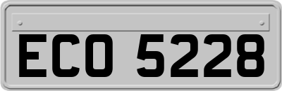 ECO5228