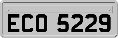 ECO5229