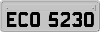 ECO5230