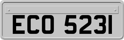 ECO5231