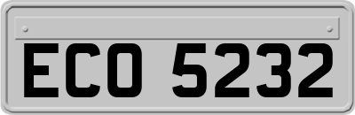 ECO5232