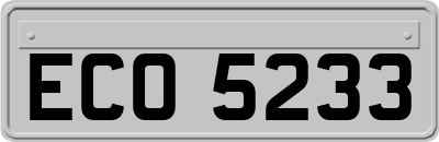 ECO5233