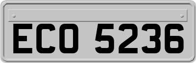 ECO5236