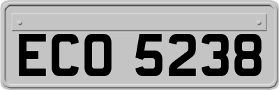 ECO5238
