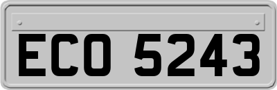 ECO5243