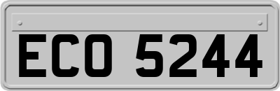 ECO5244