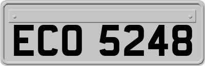 ECO5248