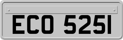 ECO5251