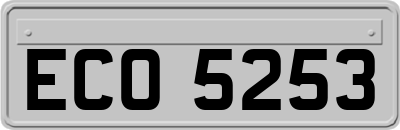 ECO5253