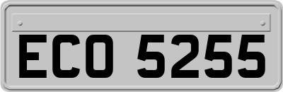 ECO5255