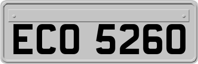 ECO5260