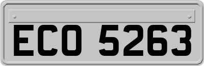 ECO5263