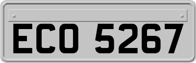 ECO5267