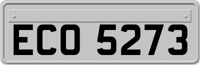 ECO5273