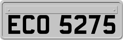 ECO5275