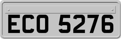 ECO5276