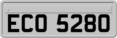 ECO5280