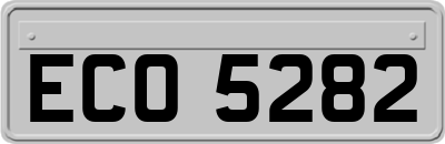 ECO5282