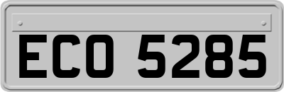 ECO5285