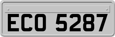 ECO5287