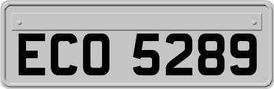 ECO5289