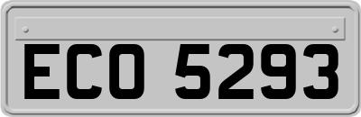 ECO5293