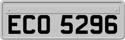 ECO5296