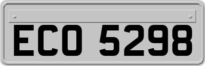ECO5298