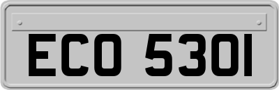 ECO5301