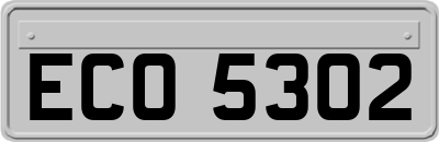 ECO5302