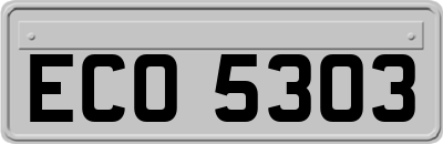 ECO5303