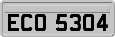 ECO5304