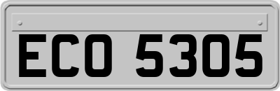 ECO5305