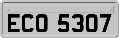 ECO5307