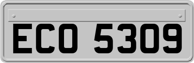 ECO5309