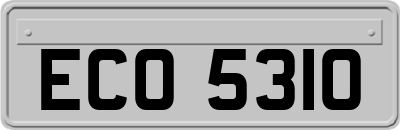 ECO5310