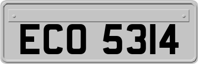 ECO5314
