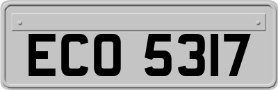 ECO5317