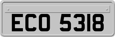 ECO5318