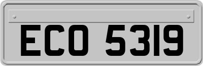 ECO5319