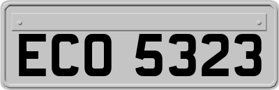 ECO5323