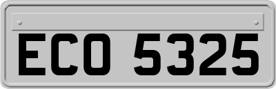 ECO5325