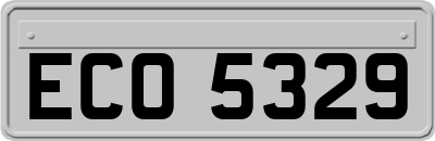 ECO5329