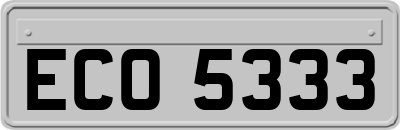 ECO5333