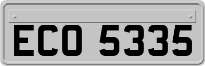 ECO5335