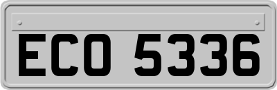 ECO5336