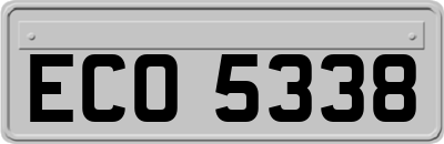 ECO5338
