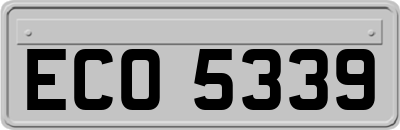 ECO5339
