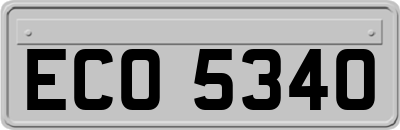 ECO5340